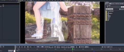 大宋映画编辑器