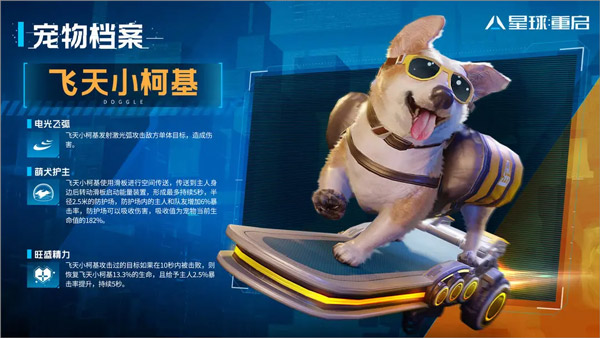 宠物介绍4