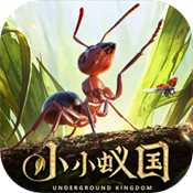 小小蚁国