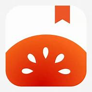 番茄小说手表版