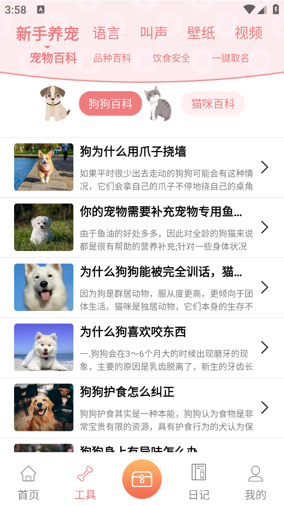 动物语言翻译器