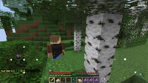 我的世界烦人的村民整合包