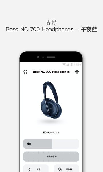 bose music