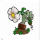 植物大战僵尸胆小菇之梦手机版