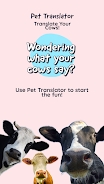 pet translator