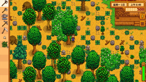Stardew Valley