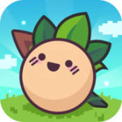 大头菜菜历险记