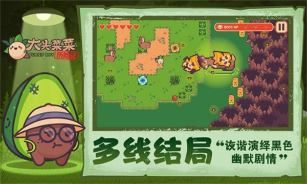 大头菜菜历险记