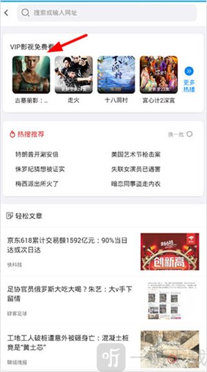 vip浏览器