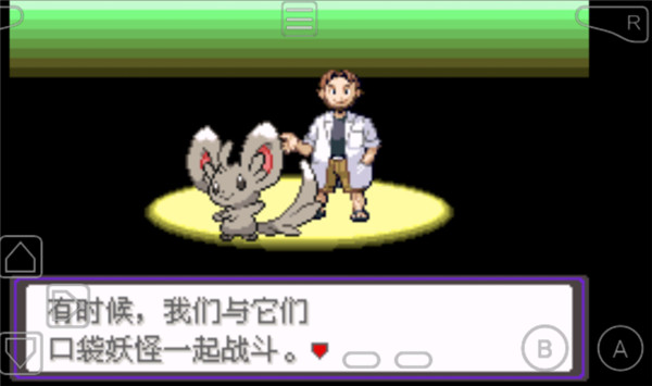 口袋妖怪漆黑的魅影5.0ex+bw