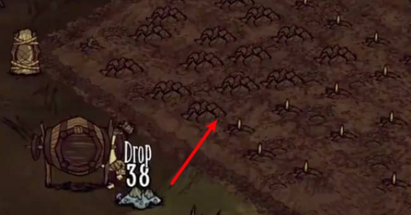 饥荒新家园测试版