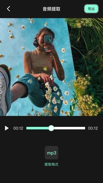 Motionleap专业版安卓版