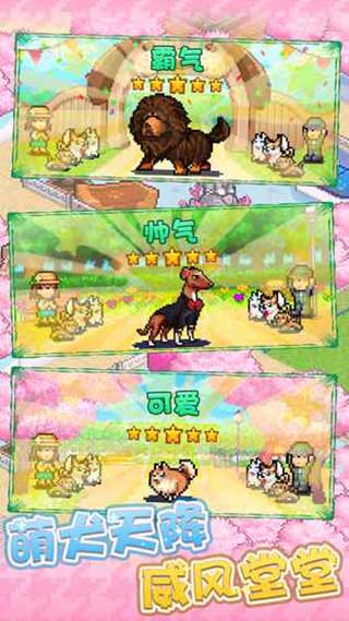 开罗发现狗狗乐园官方版