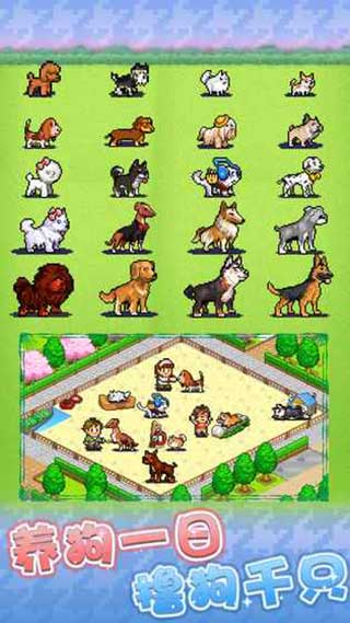 开罗发现狗狗乐园官方版