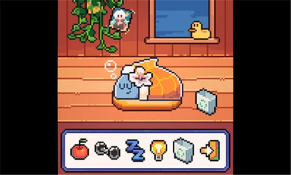 我的小鲨鱼下载正版安装