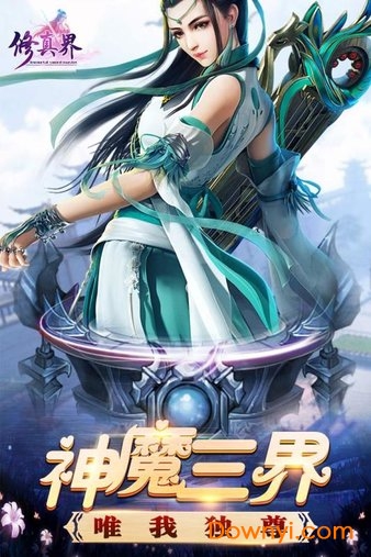 天域战记果盘游戏