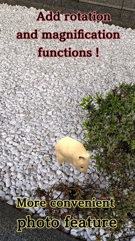 我的仓鼠游戏无广告版