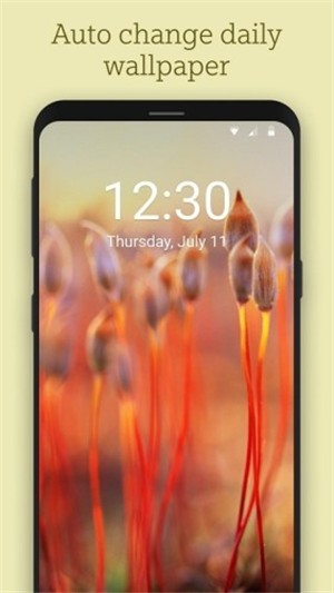 必应壁纸官网版下载安卓版 12.0.47470801