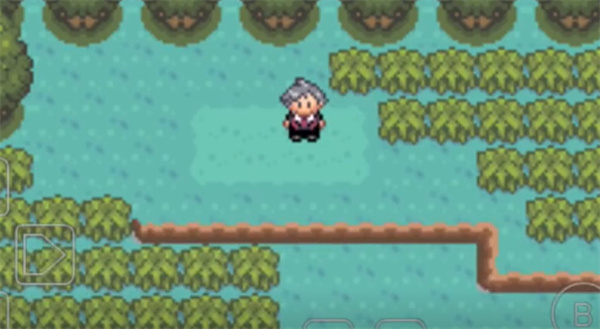 口袋妖怪冠军的旅程中文