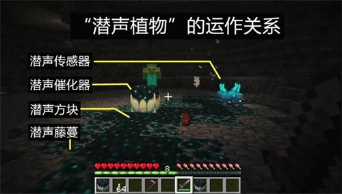 Minecraft1.19基岩版
