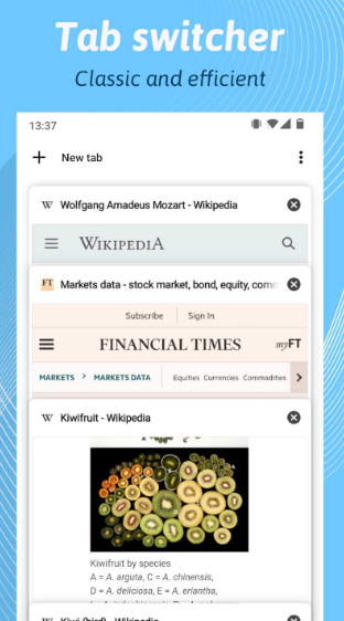 Kiwi浏览器官网版下载 124.0.6327.4