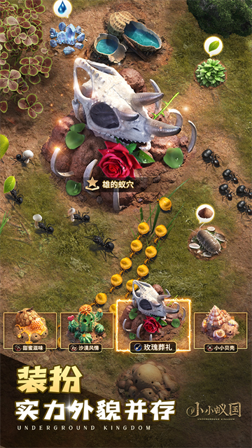 小小蚁国国际服