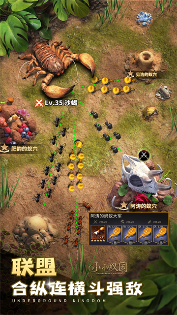 小小蚁国国际服