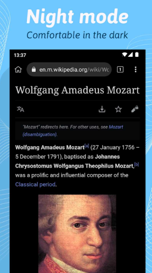 Kiwi浏览器官网版下载 124.0.6327.4