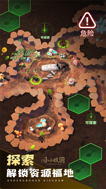 小小蚁国国际服