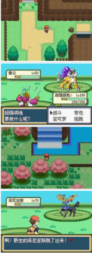 口袋妖怪梦的光点