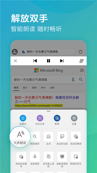 Microsoft浏览器