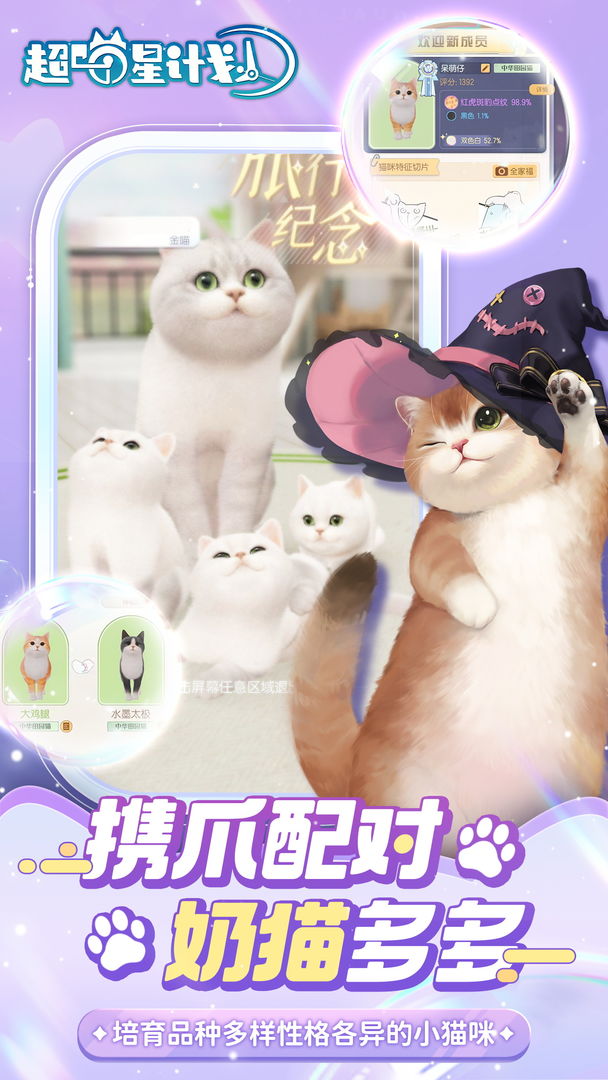 超喵星计划正版