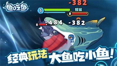 鱼吃鱼游戏