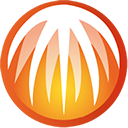 bitcomet安卓官方版