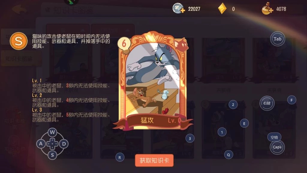 侍卫汤姆知识卡搭配方案2