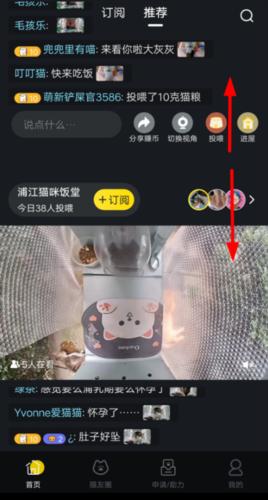 哈啰街猫最新版