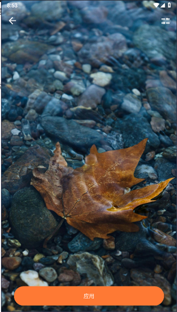 Edge Canary安卓版下载 129.0.2778.0