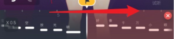 ACE虚拟歌姬海外版