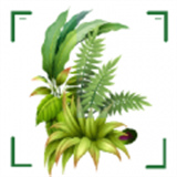 识万物扫一扫app