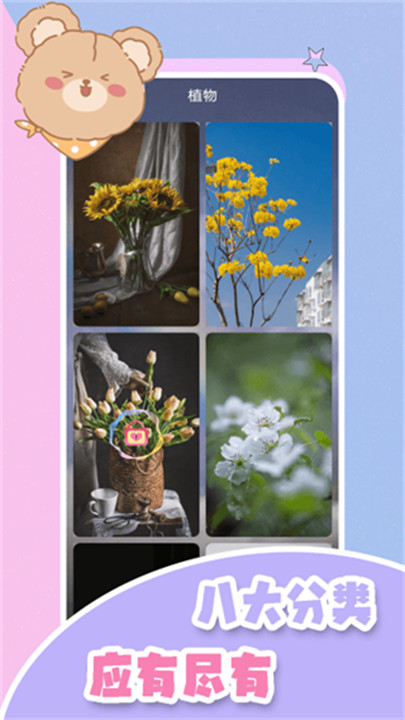 元气小熊壁纸高清