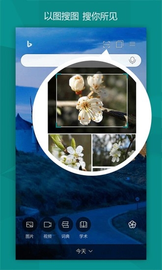 微软bing国际版手机版 27.9.2110003548