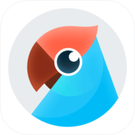 有道翻译官去升级精简版