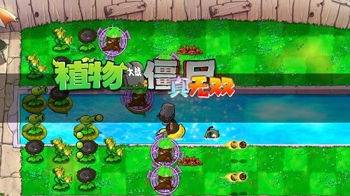 pvz真无双版官方版