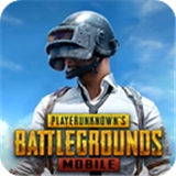 pubgmobile国际服