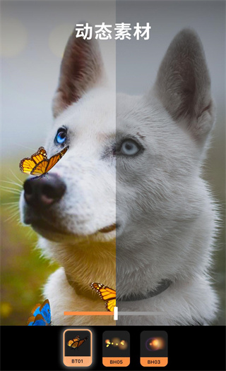 pixaloop专业破解版无需付费2023