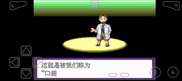 口袋妖怪漆黑的魅影5.0ex