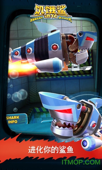 饥饿鲨：进化