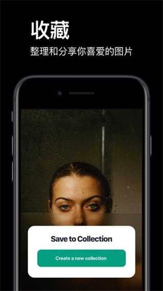 pexels免费素材网